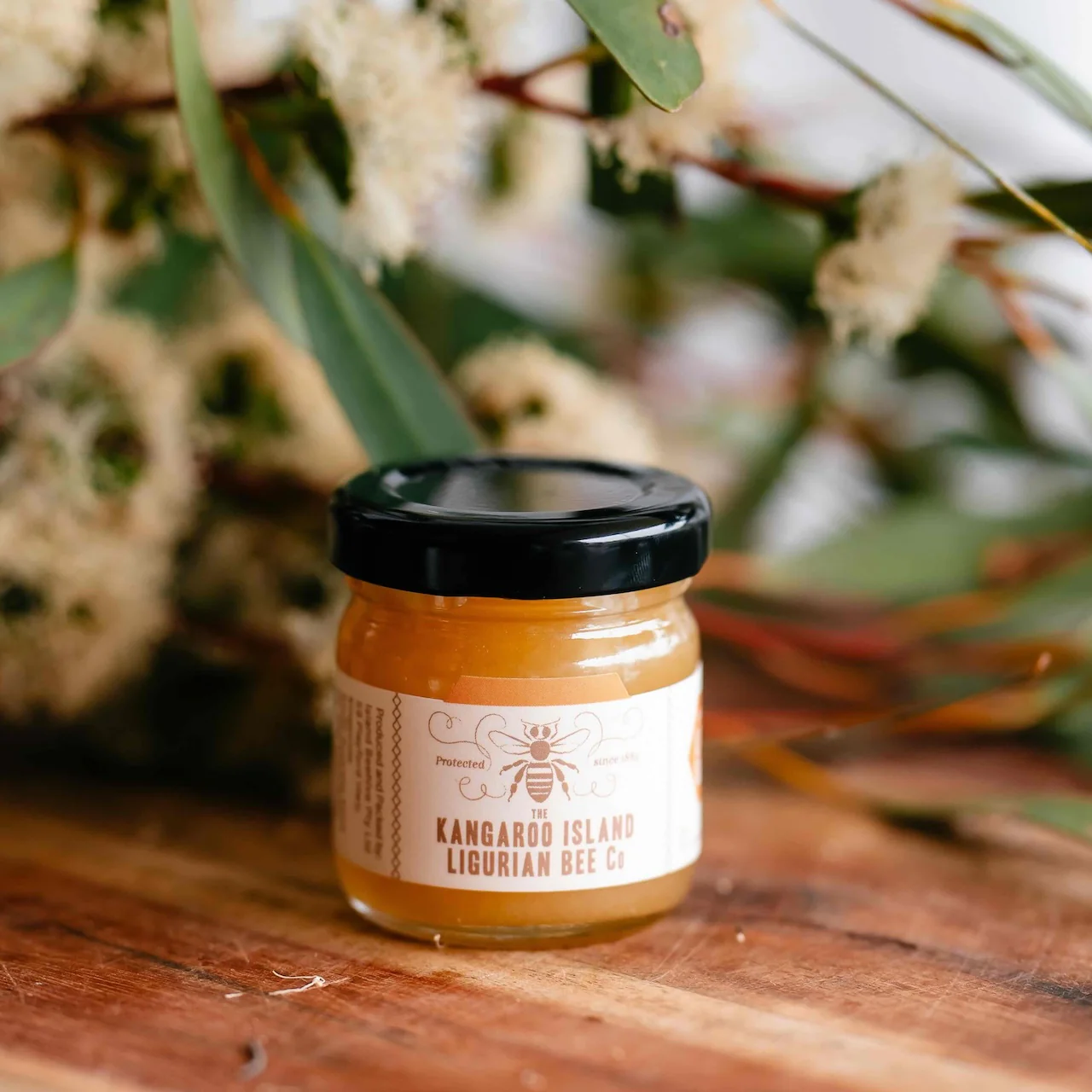 LIMITED EDITION: Little Sahara - Organic - Image 4